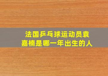 法国乒乓球运动员袁嘉楠是哪一年出生的人