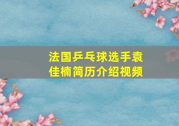 法国乒乓球选手袁佳楠简历介绍视频