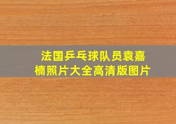 法国乒乓球队员袁嘉楠照片大全高清版图片