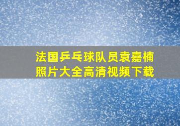 法国乒乓球队员袁嘉楠照片大全高清视频下载