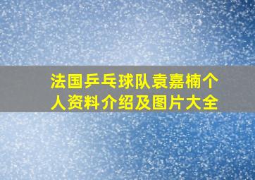 法国乒乓球队袁嘉楠个人资料介绍及图片大全