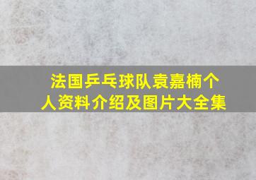 法国乒乓球队袁嘉楠个人资料介绍及图片大全集