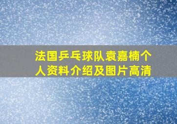 法国乒乓球队袁嘉楠个人资料介绍及图片高清