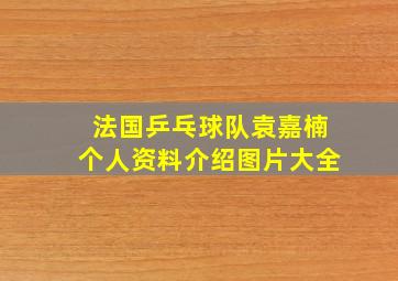 法国乒乓球队袁嘉楠个人资料介绍图片大全