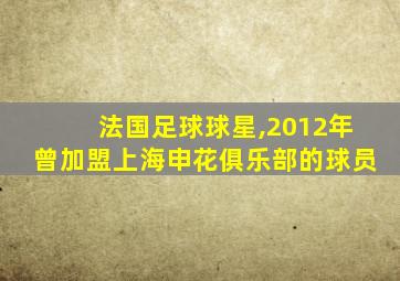 法国足球球星,2012年曾加盟上海申花俱乐部的球员