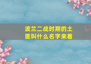 波兰二战时期的土匪叫什么名字来着