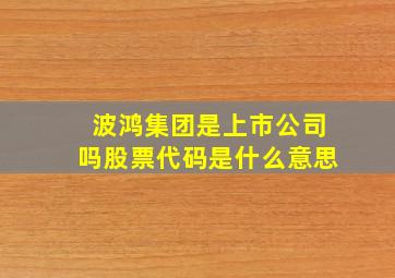 波鸿集团是上市公司吗股票代码是什么意思