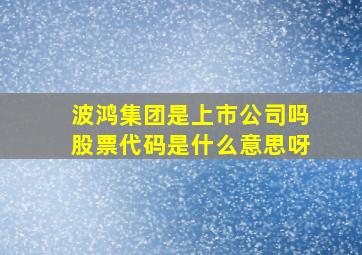 波鸿集团是上市公司吗股票代码是什么意思呀