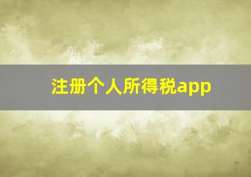 注册个人所得税app