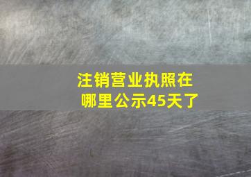 注销营业执照在哪里公示45天了