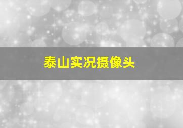 泰山实况摄像头