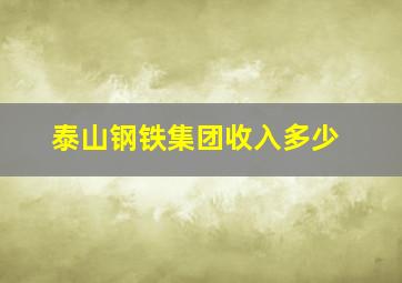 泰山钢铁集团收入多少