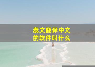 泰文翻译中文的软件叫什么