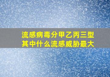 流感病毒分甲乙丙三型其中什么流感威胁最大