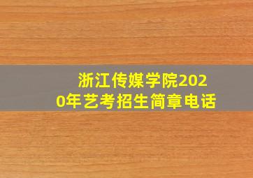 浙江传媒学院2020年艺考招生简章电话