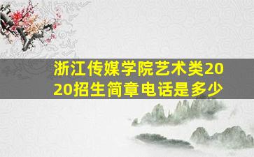 浙江传媒学院艺术类2020招生简章电话是多少