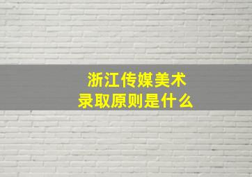 浙江传媒美术录取原则是什么