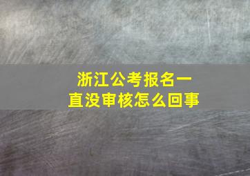 浙江公考报名一直没审核怎么回事