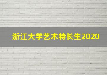 浙江大学艺术特长生2020