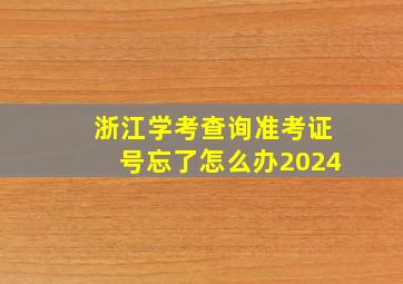 浙江学考查询准考证号忘了怎么办2024