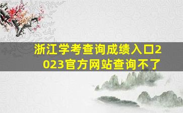 浙江学考查询成绩入口2023官方网站查询不了