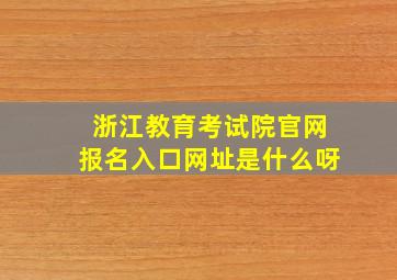 浙江教育考试院官网报名入口网址是什么呀