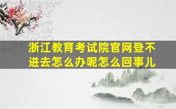 浙江教育考试院官网登不进去怎么办呢怎么回事儿