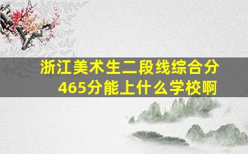 浙江美术生二段线综合分465分能上什么学校啊