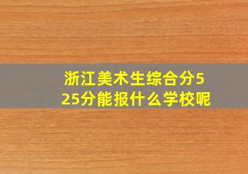 浙江美术生综合分525分能报什么学校呢