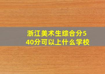 浙江美术生综合分540分可以上什么学校