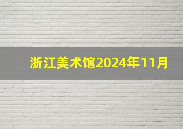 浙江美术馆2024年11月