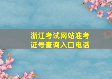 浙江考试网站准考证号查询入口电话