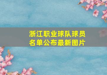 浙江职业球队球员名单公布最新图片