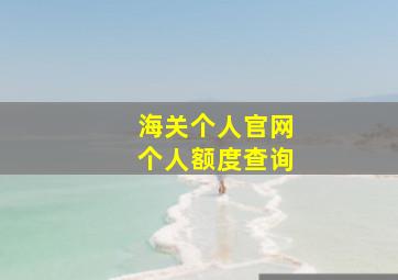 海关个人官网个人额度查询