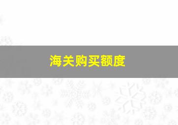 海关购买额度