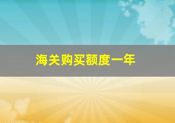 海关购买额度一年