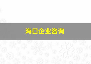 海口企业咨询