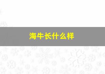 海牛长什么样