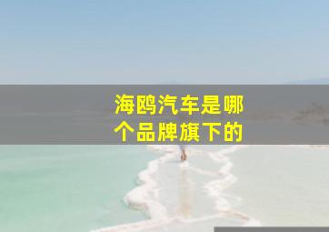 海鸥汽车是哪个品牌旗下的