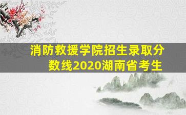 消防救援学院招生录取分数线2020湖南省考生