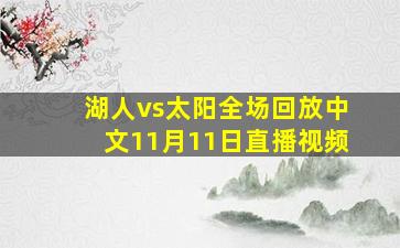 湖人vs太阳全场回放中文11月11日直播视频