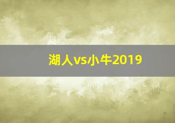 湖人vs小牛2019