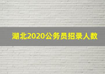 湖北2020公务员招录人数