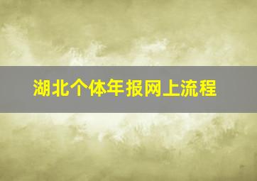 湖北个体年报网上流程