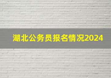 湖北公务员报名情况2024