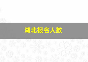 湖北报名人数