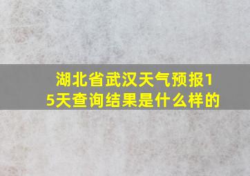 湖北省武汉天气预报15天查询结果是什么样的