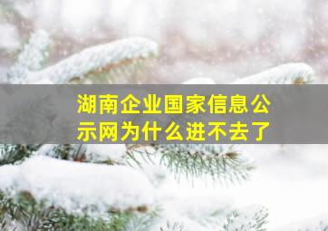 湖南企业国家信息公示网为什么进不去了