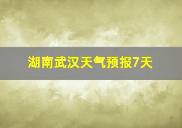 湖南武汉天气预报7天