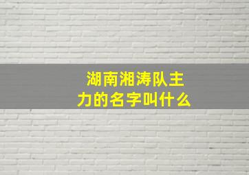 湖南湘涛队主力的名字叫什么